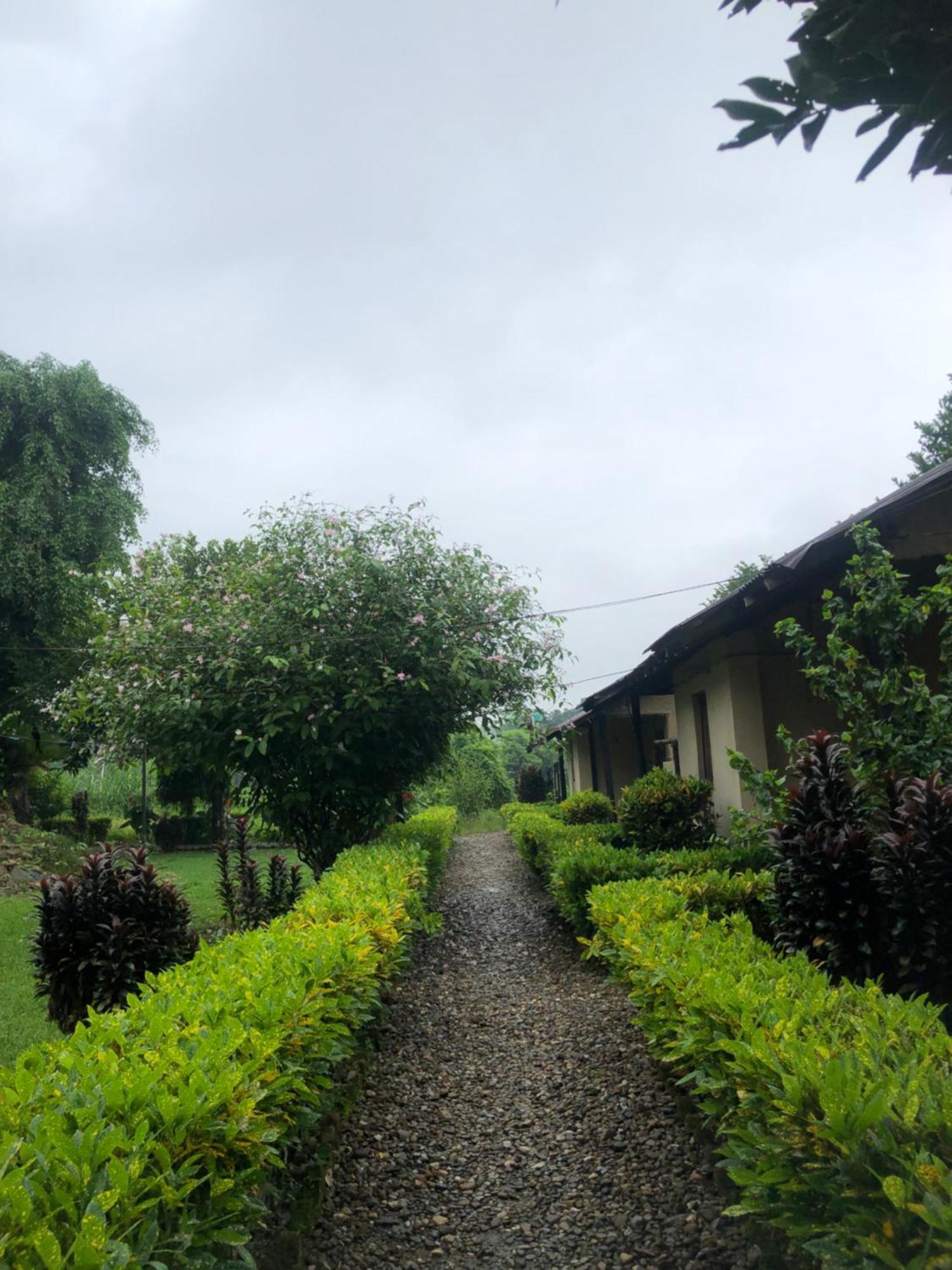 Hotel Tharu Garden And Beer Bar Chitwan Extérieur photo
